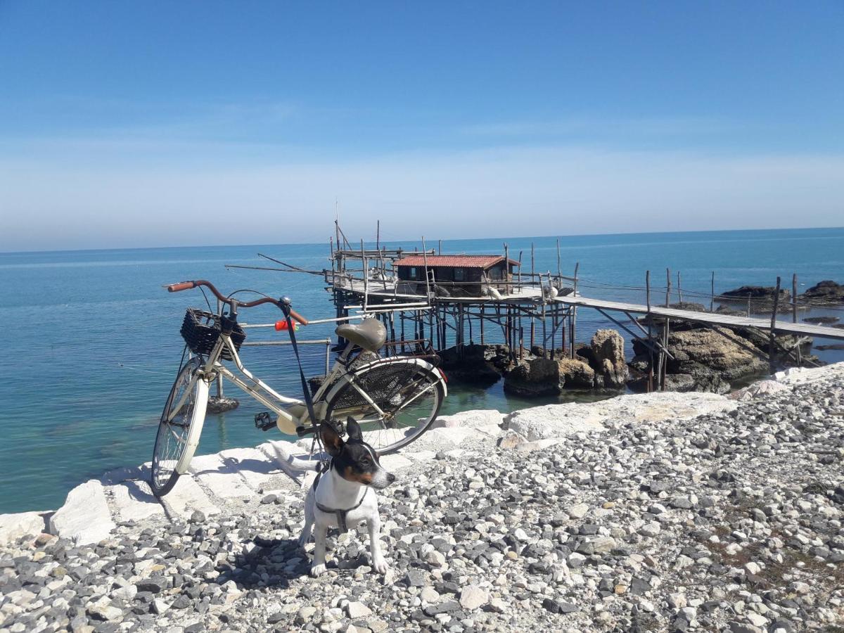 Appartement Casa A 20 Metri Dal Mare! à Fossacesia Extérieur photo